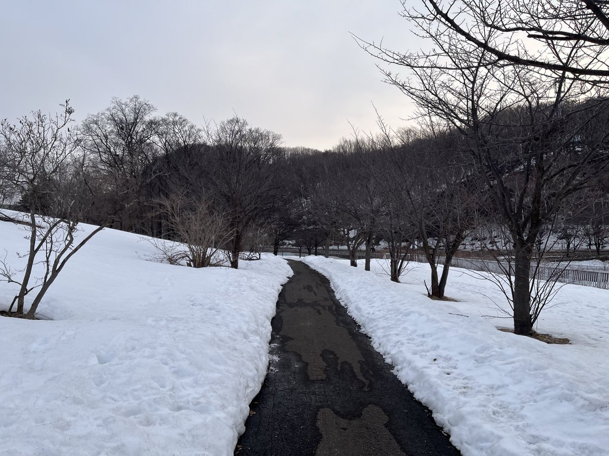 アヤノ🍎 tweet media