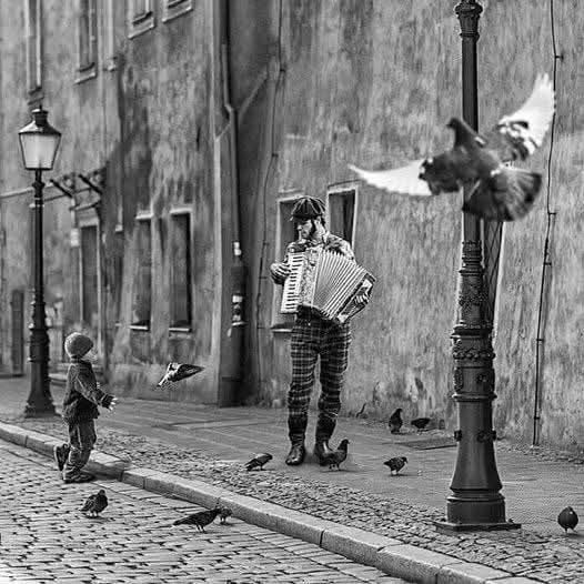 αfro ksil tweet media