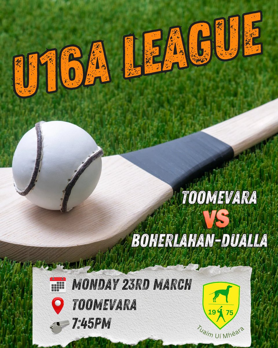 Toomevara Camogie tweet media