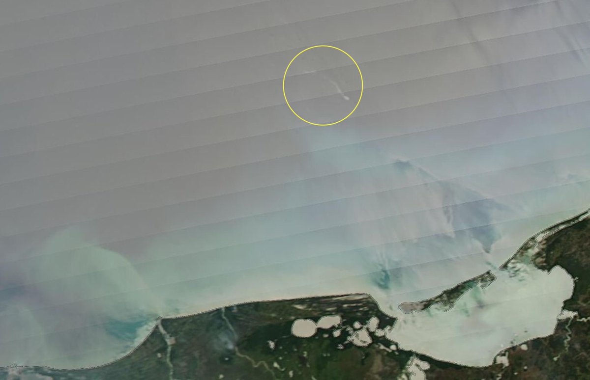 Pandita rojo 🐳 tweet media