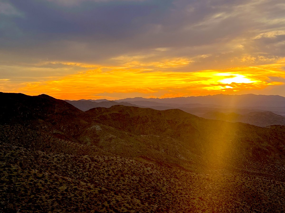 Flawwed1 tweet media