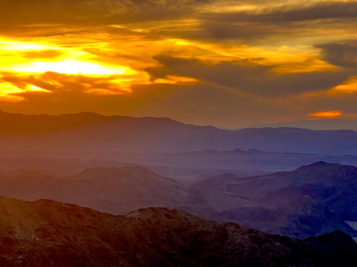 Flawwed1 tweet media