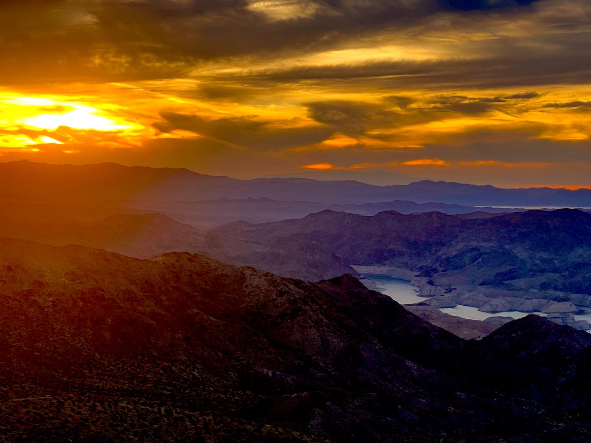 Flawwed1 tweet media