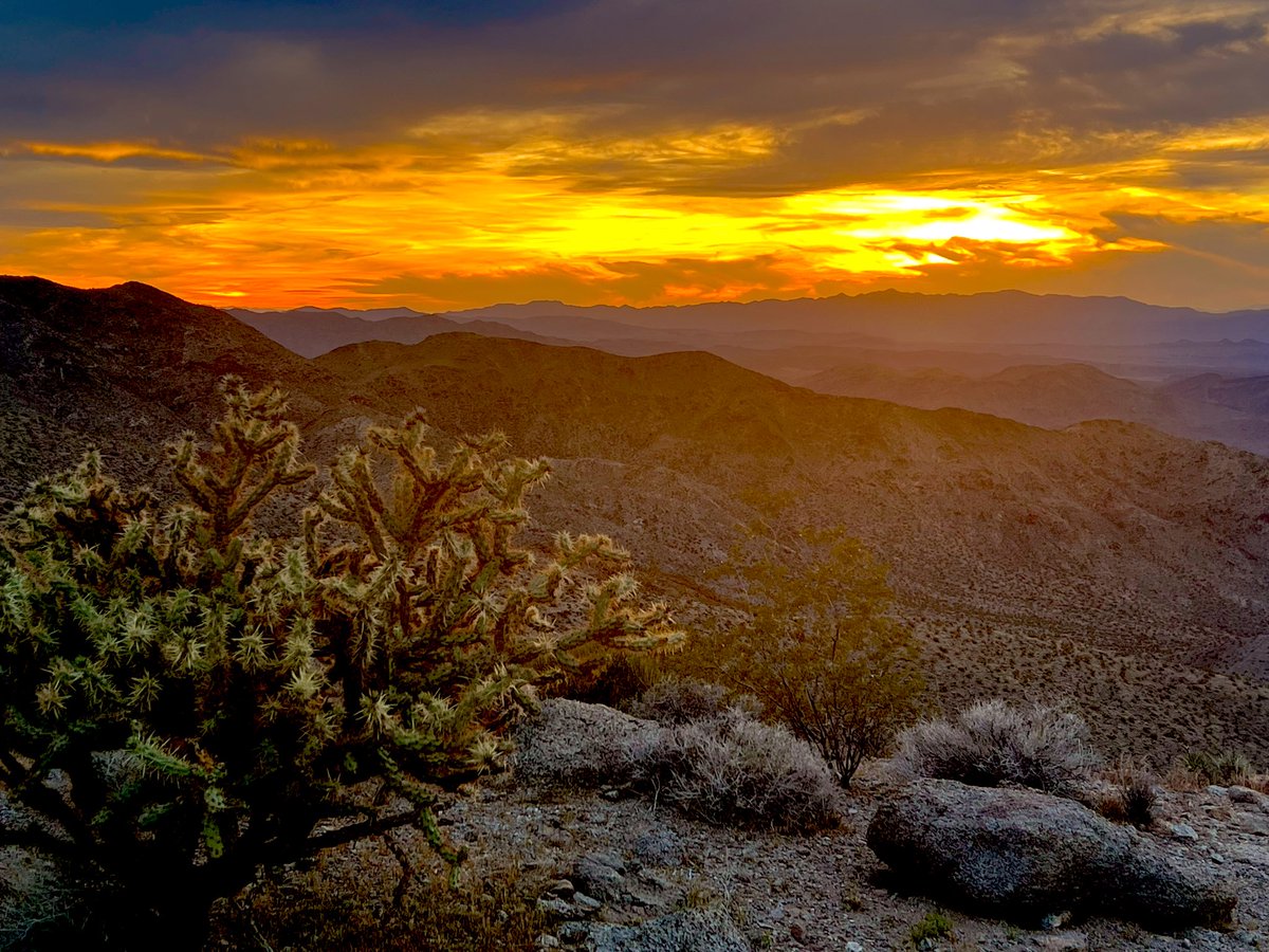 Flawwed1 tweet media