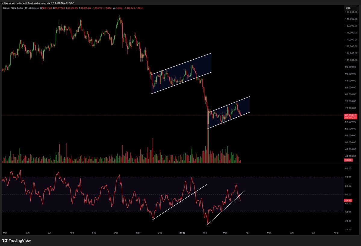 Willjayducks tweet media