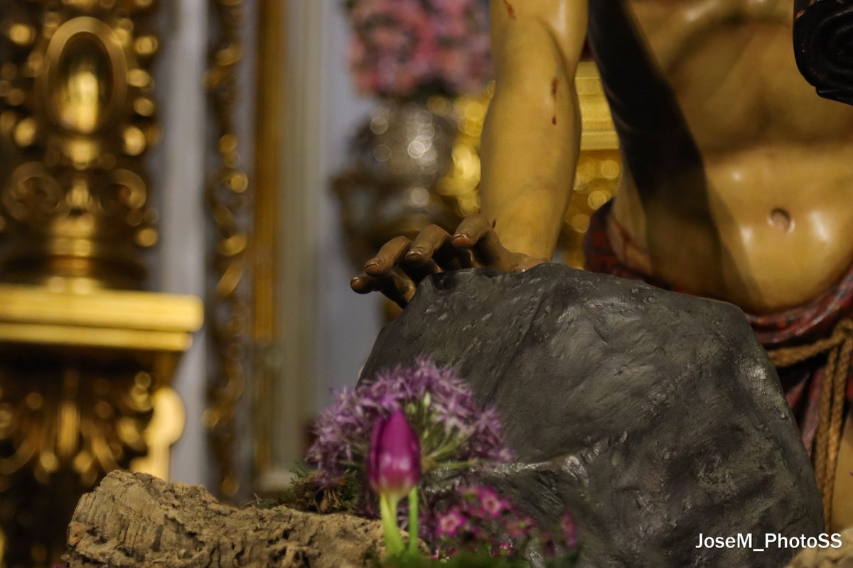 JoseM_PhotoSS tweet media