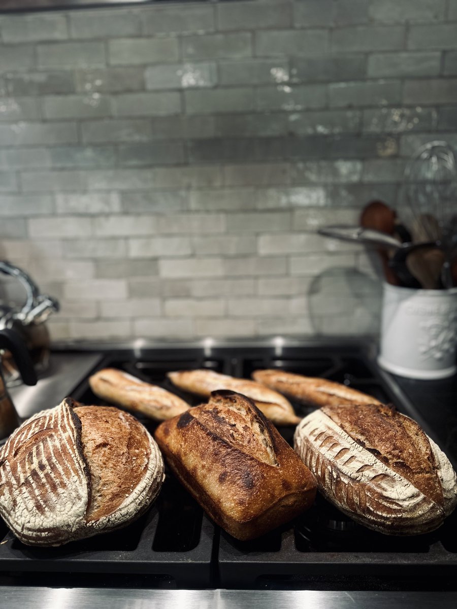 John Ales AF™️ tweet media