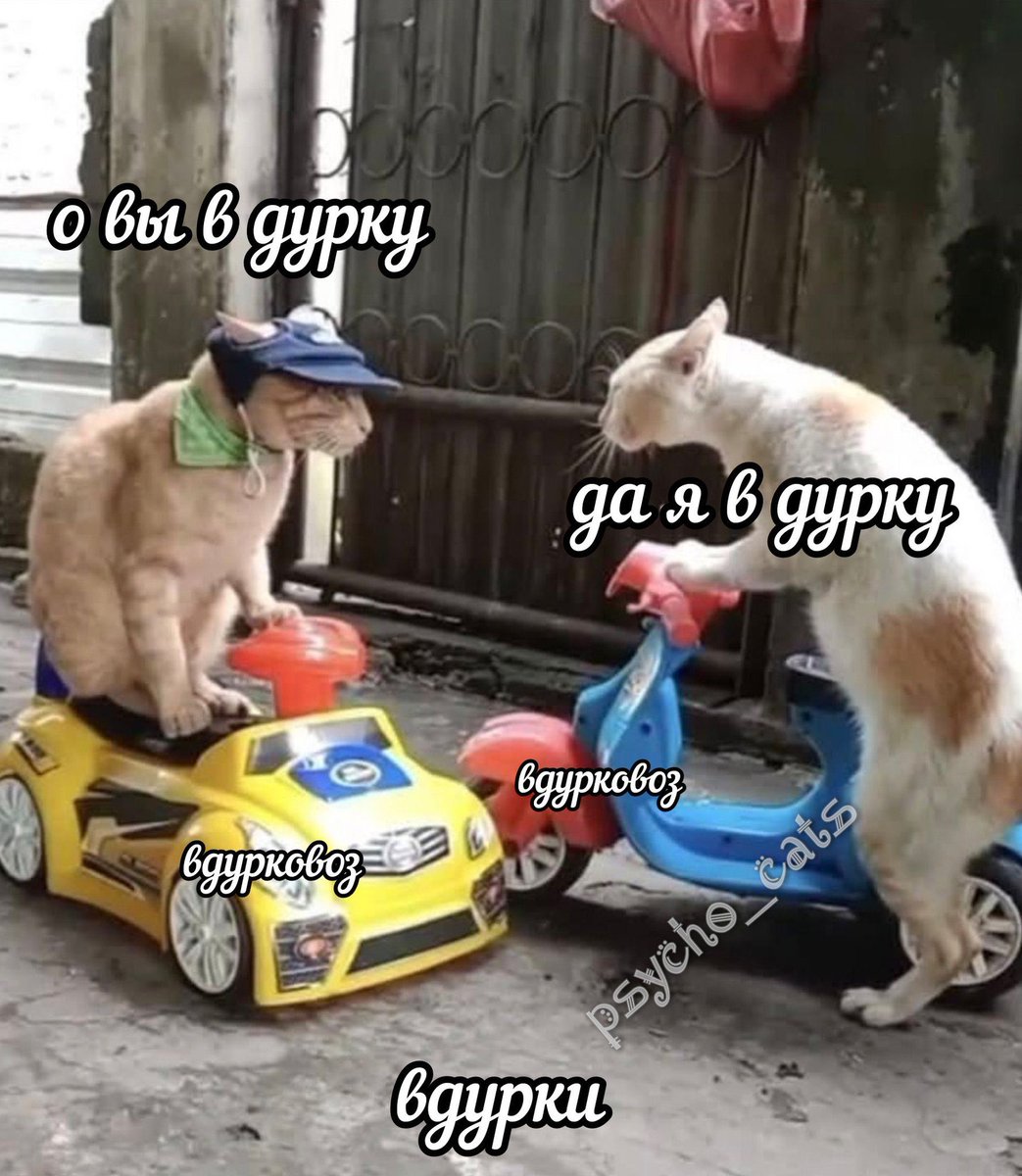 🪶чернич средневековый🗡️ tweet media