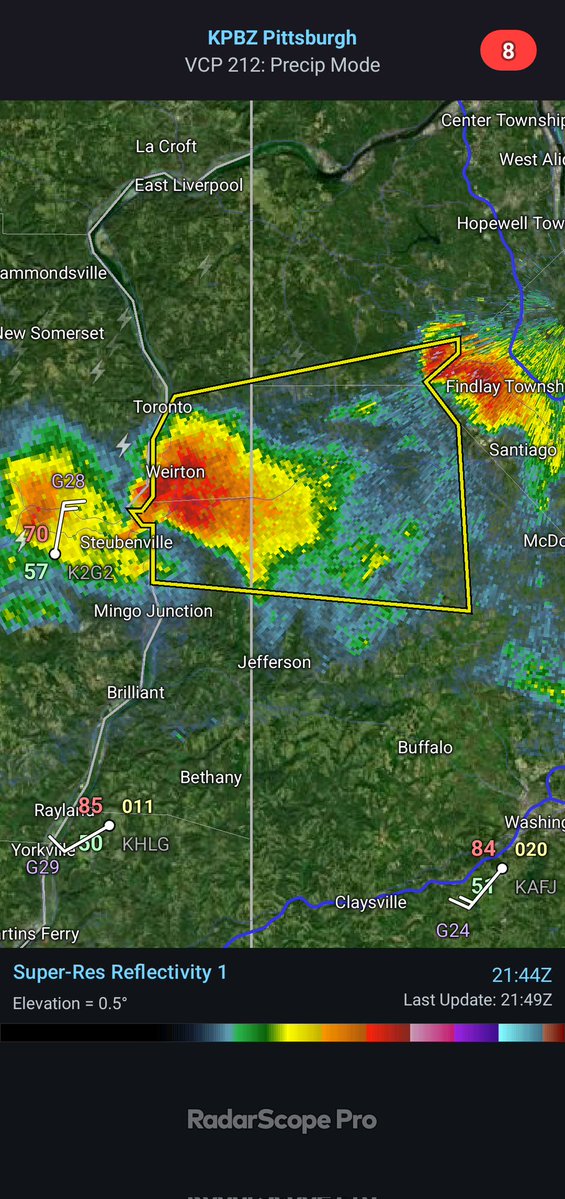 Evan Chiefer tweet media