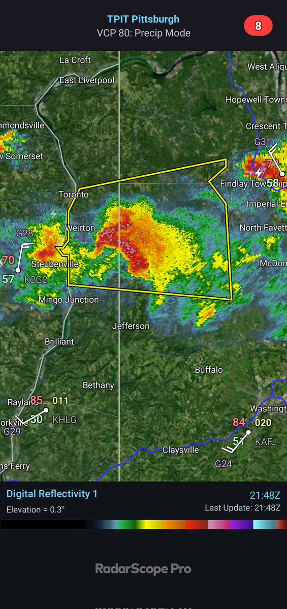 Evan Chiefer tweet media