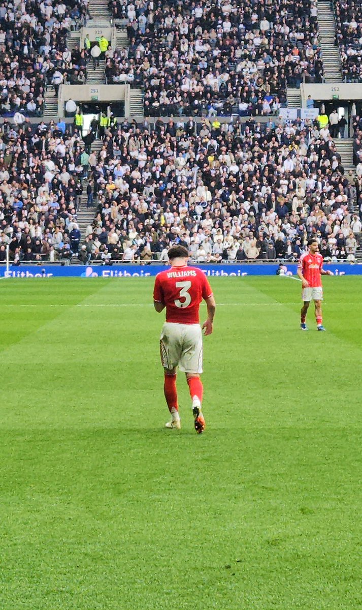 Freebs The Tree tweet media