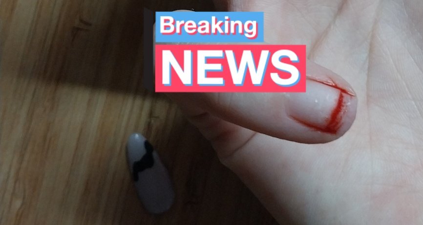 Fatma 🐅 tweet media