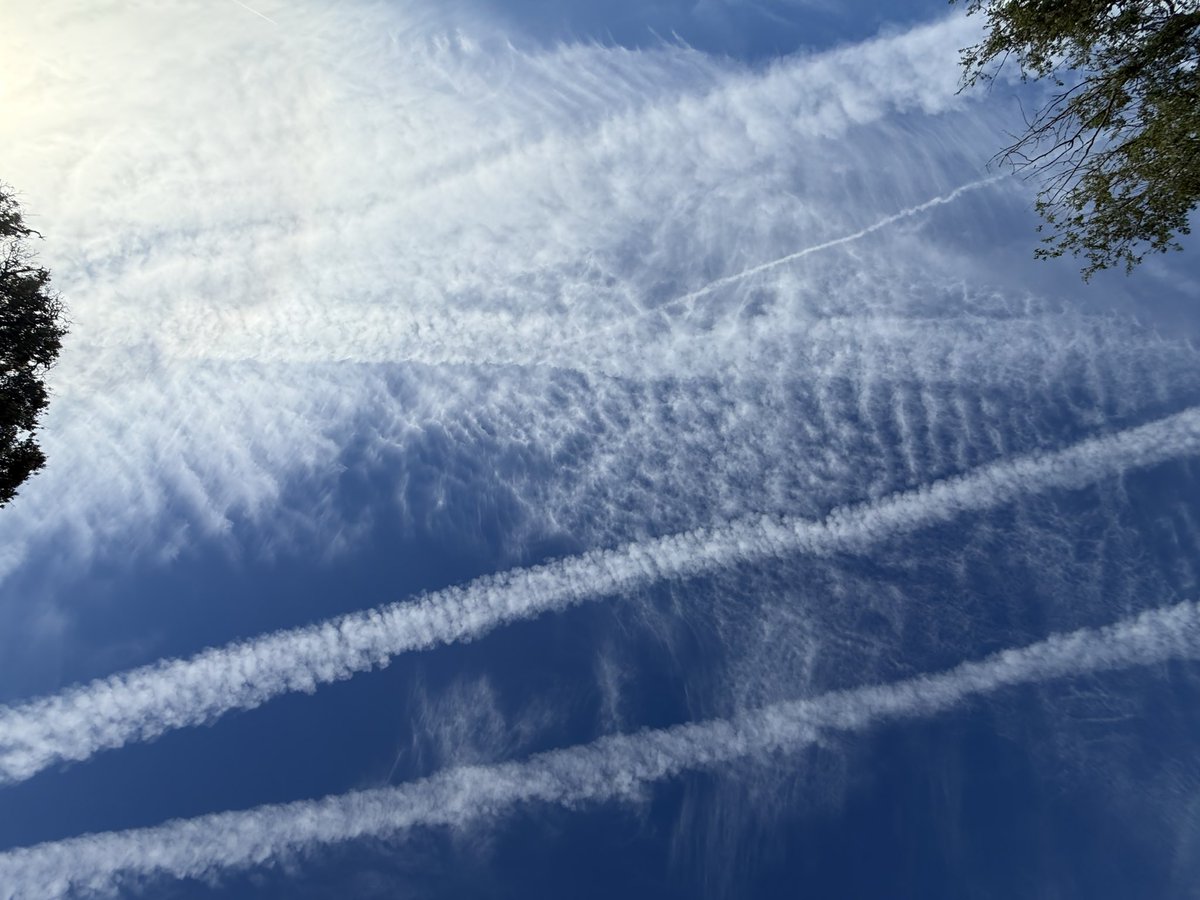 Vinnie Colaiuta tweet media