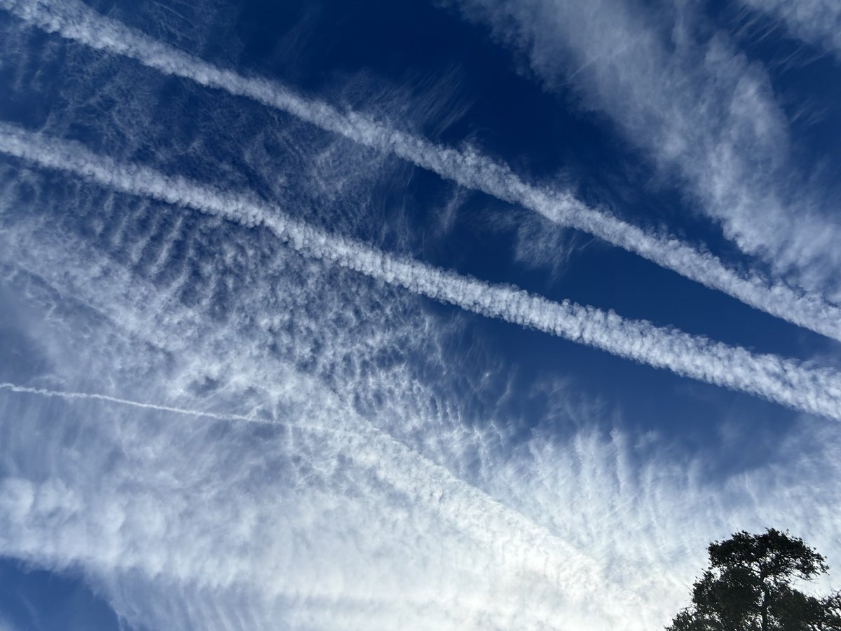 Vinnie Colaiuta tweet media