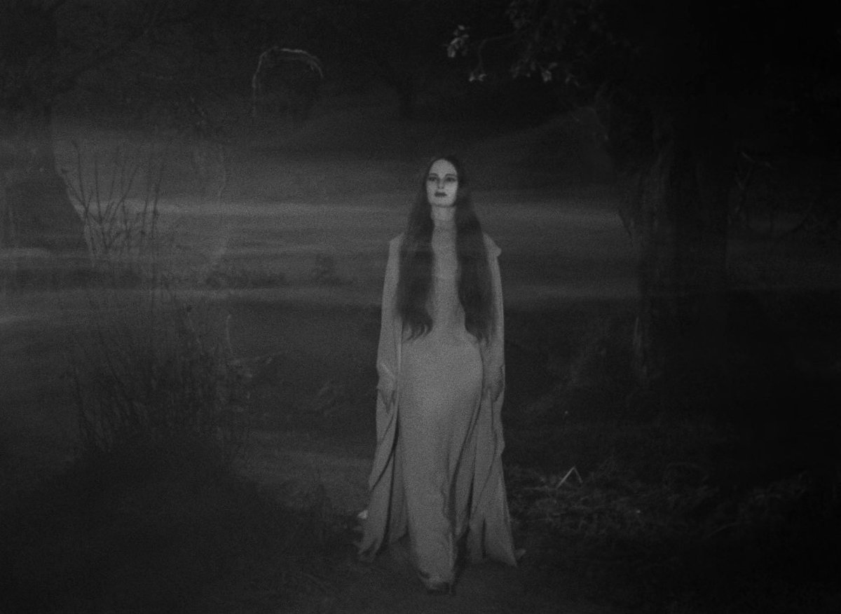 𖥔 ࣪˖ 𝓓𝓪𝔂𝓼𝓲 ⏾*:･ tweet media