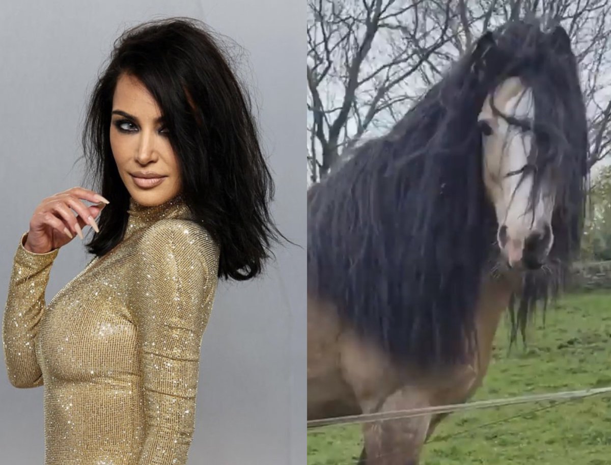 PopXclusive tweet media