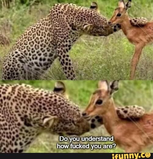 holygrail tweet media