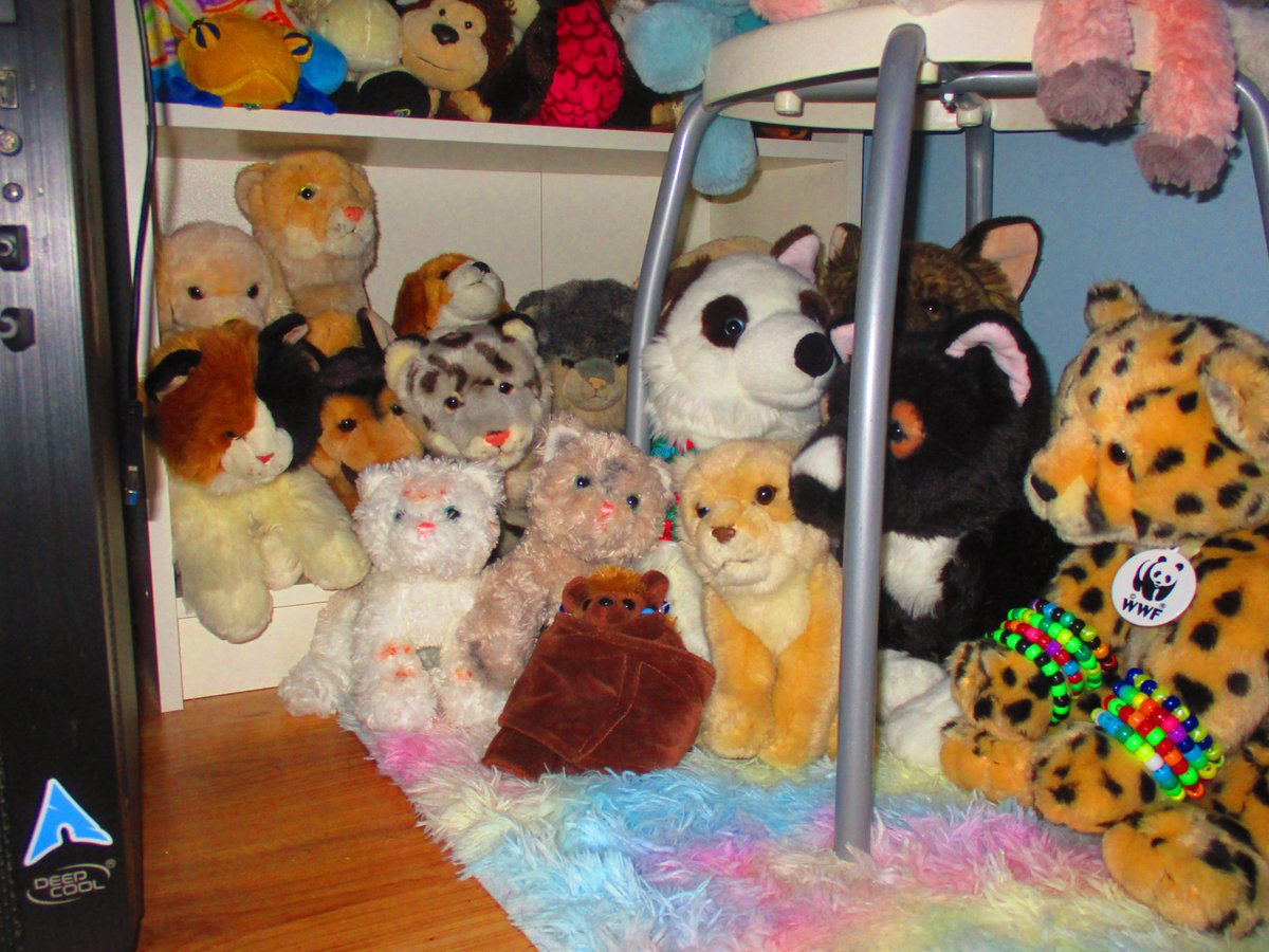 Eddie! 💗💊 tweet media