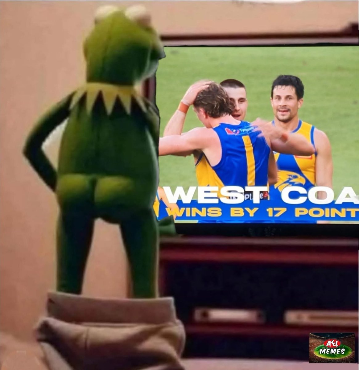 RayCapogreco tweet media