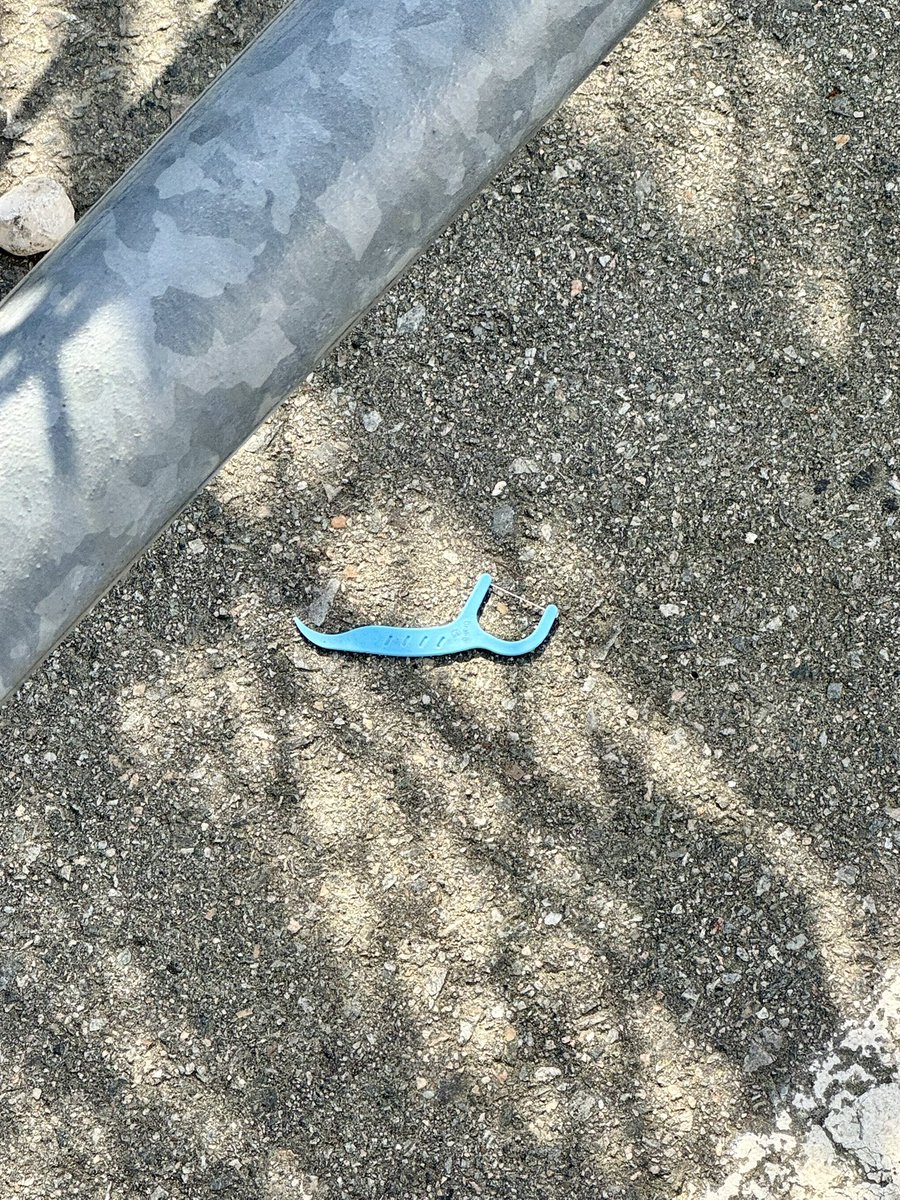 Michelle B. tweet media