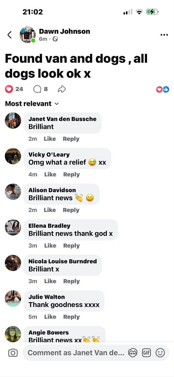 spaniel alert tweet media