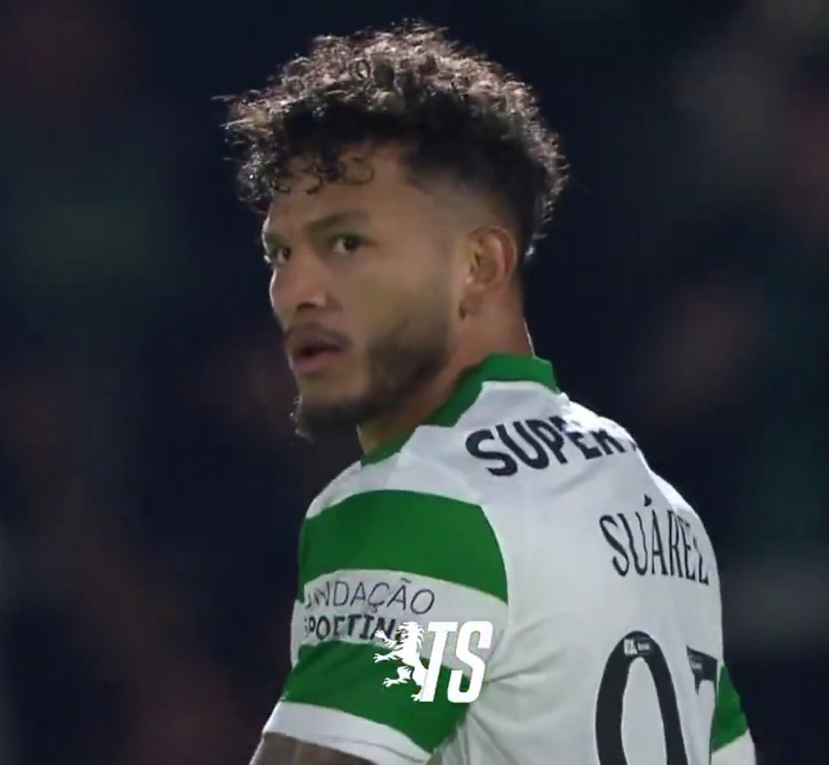 Martim Bustorff tweet media