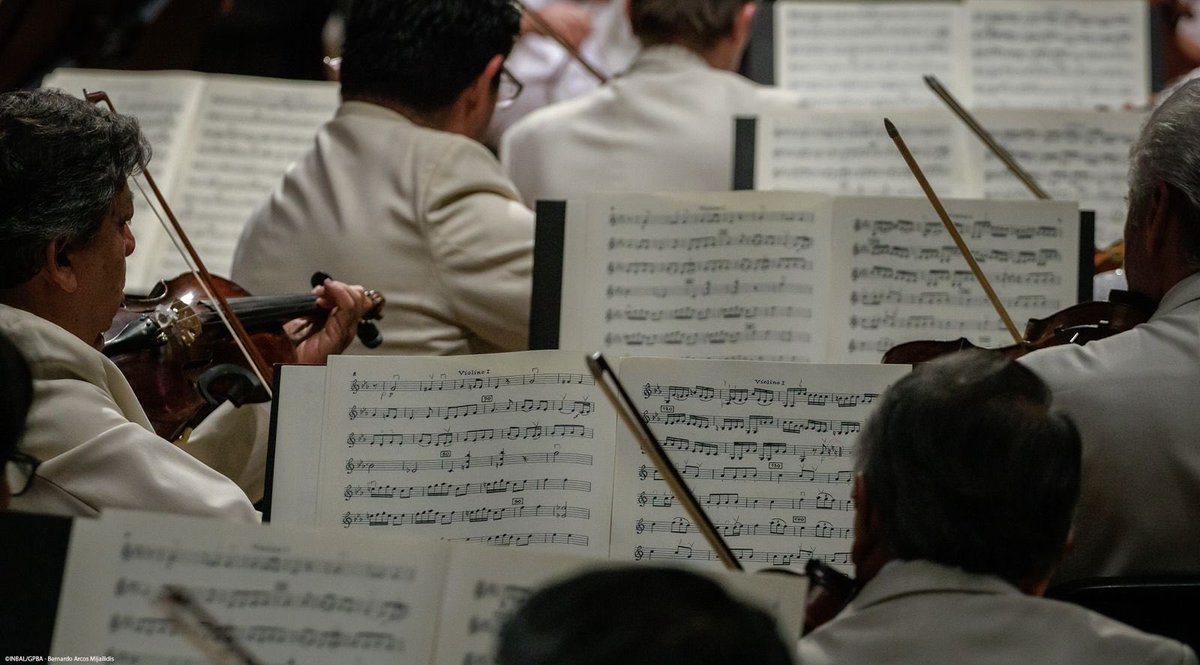 PalaciodeBellasArtes tweet media