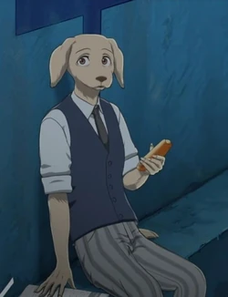 Boxer de lirix🔞 tweet media