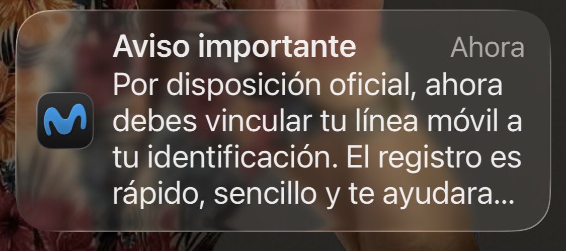 Yo Soy Alex  ✌ tweet media