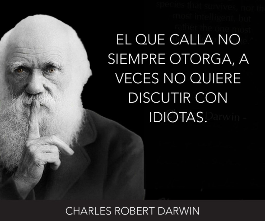 Jorge Dorta tweet media