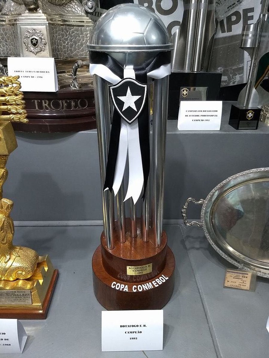 Botafogo Uberlândia tweet media