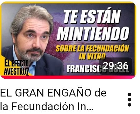 Guillermo Rocafort tweet media