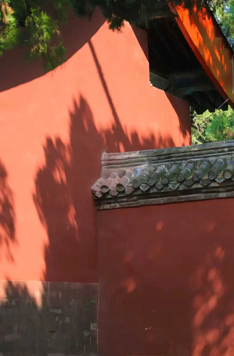 johnathan tweet media