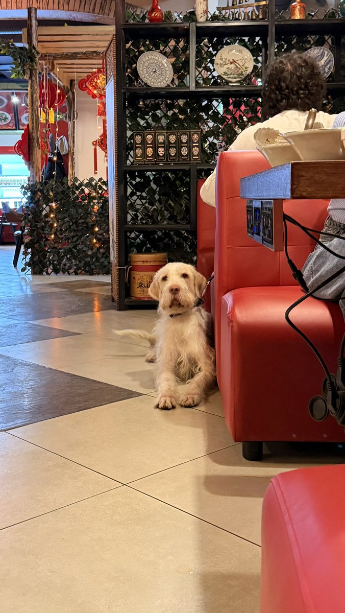 Нытьяна tweet media