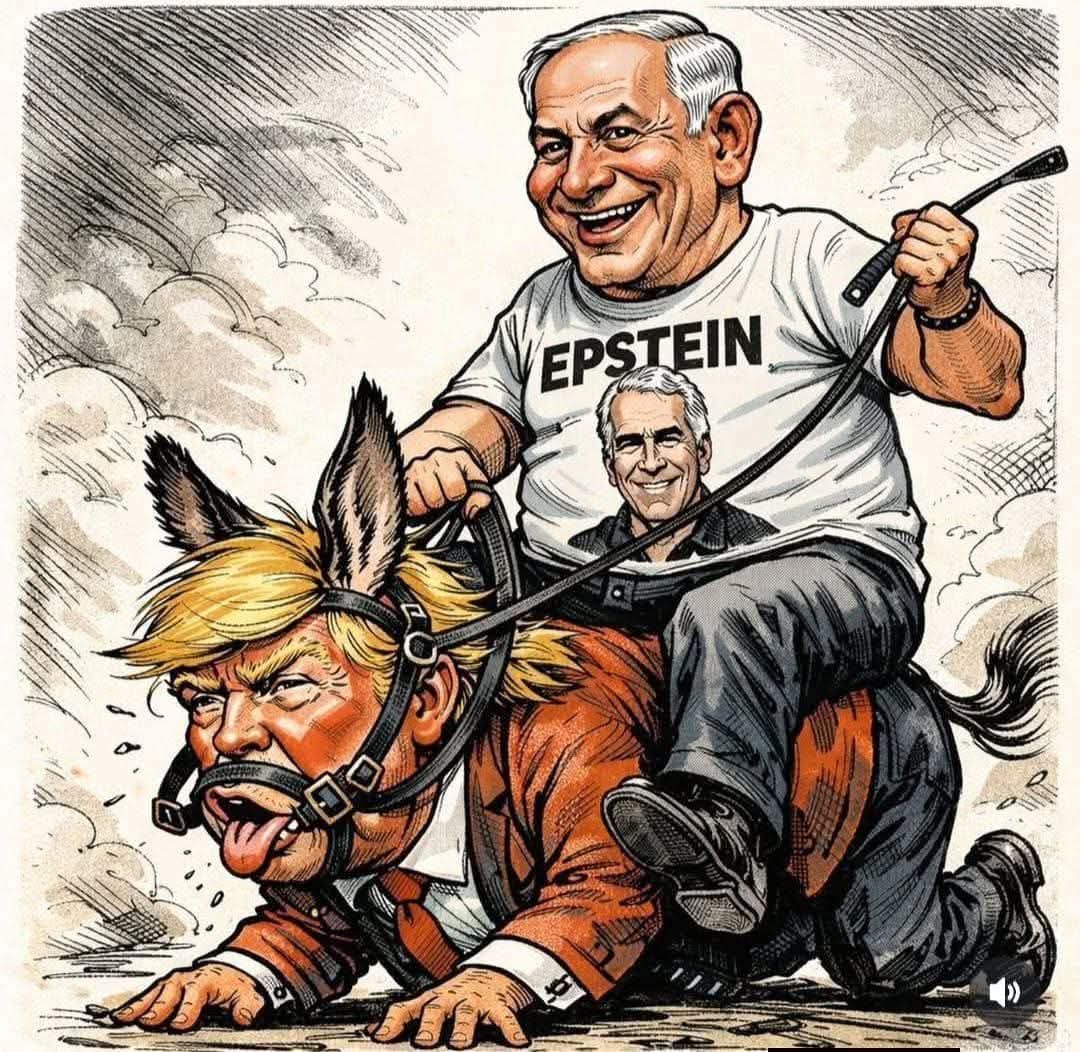 blackbox tweet media