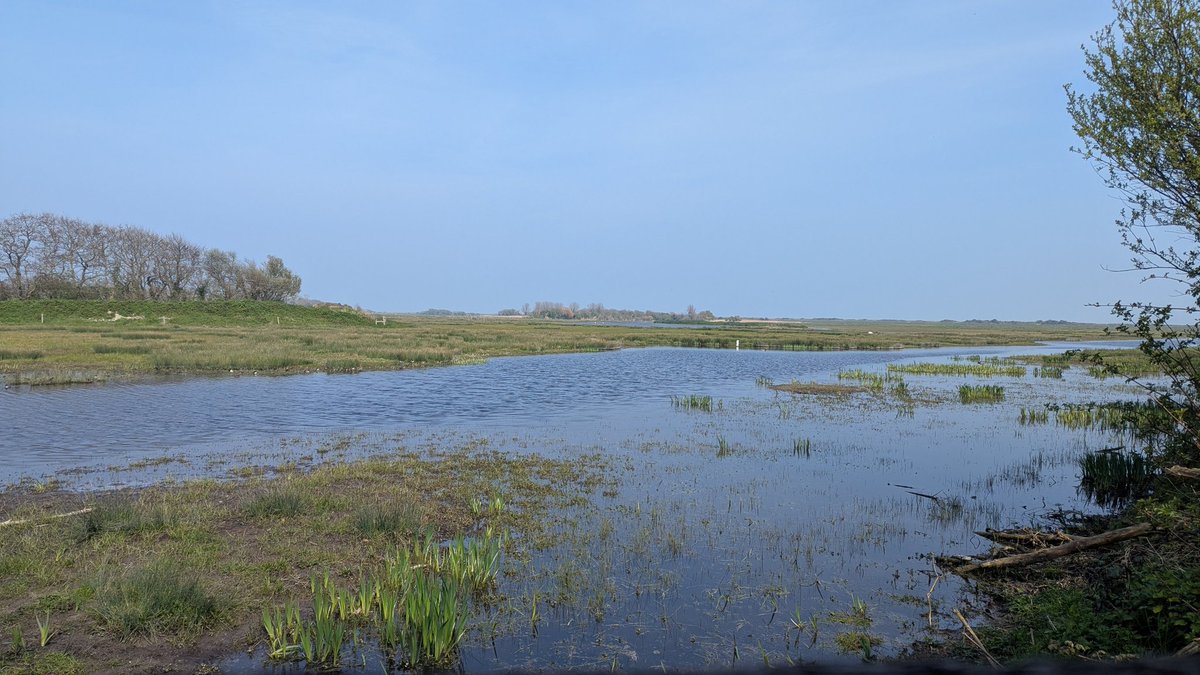 Tom Brereton tweet media