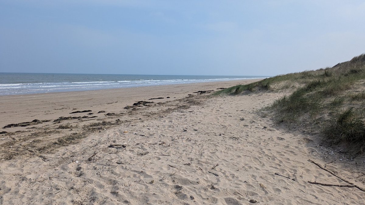 Tom Brereton tweet media