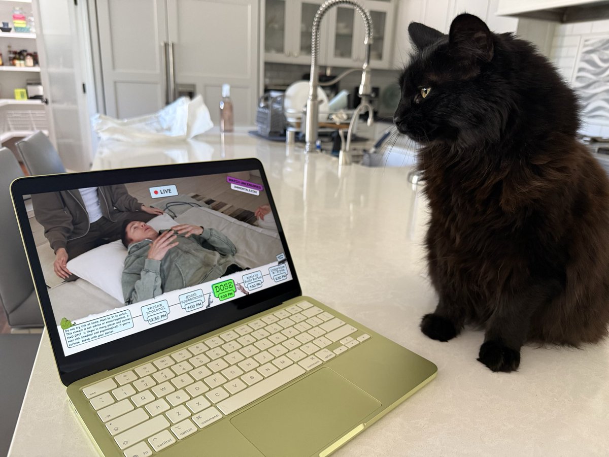 Todd Dailey tweet media