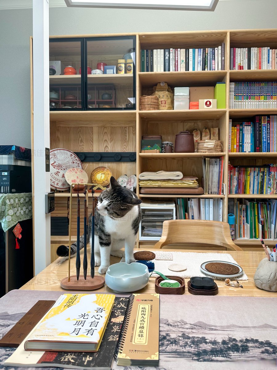 Lukas Margol tweet media