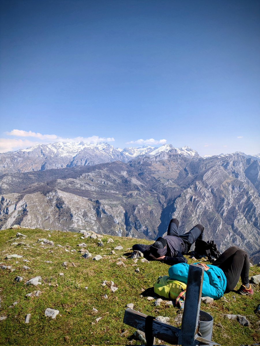 David Alonso Medina tweet media