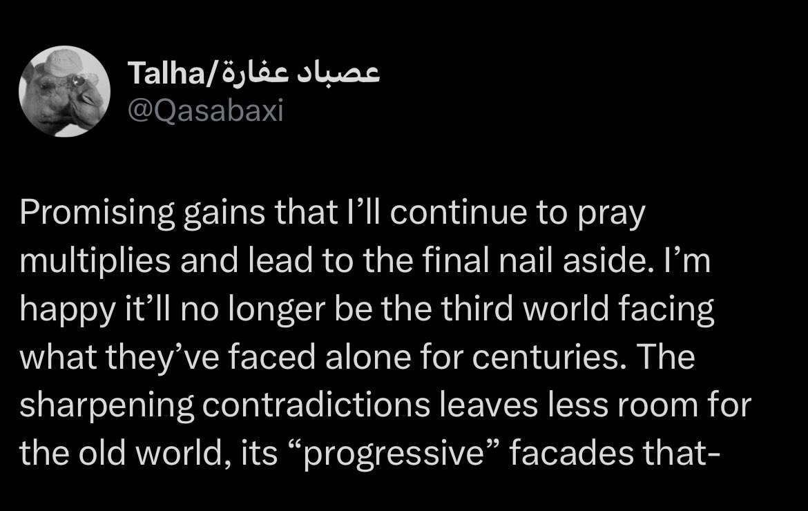 Talha/عصباد عفارة tweet media