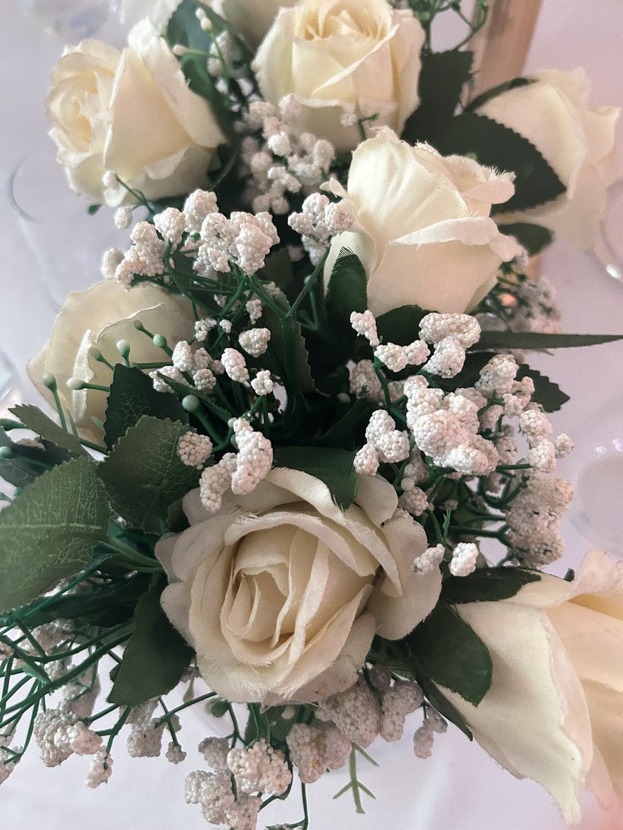 סער חיים tweet media