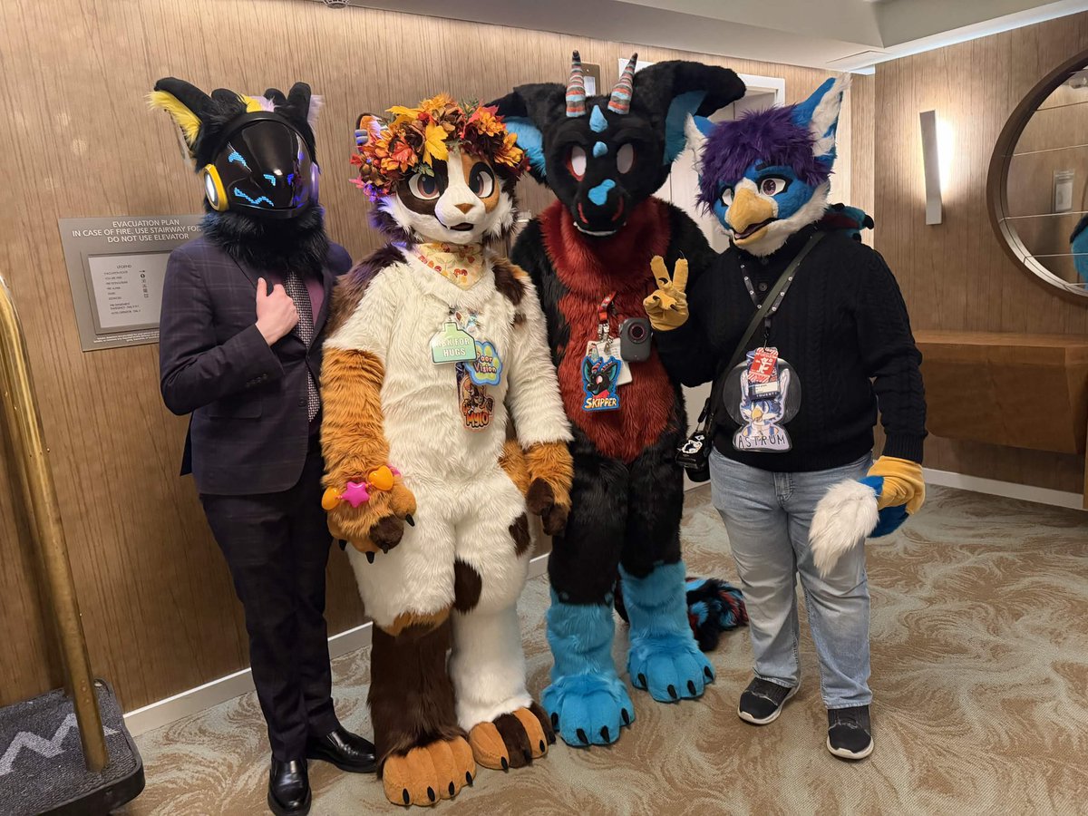 Diamond 🦨 tweet media