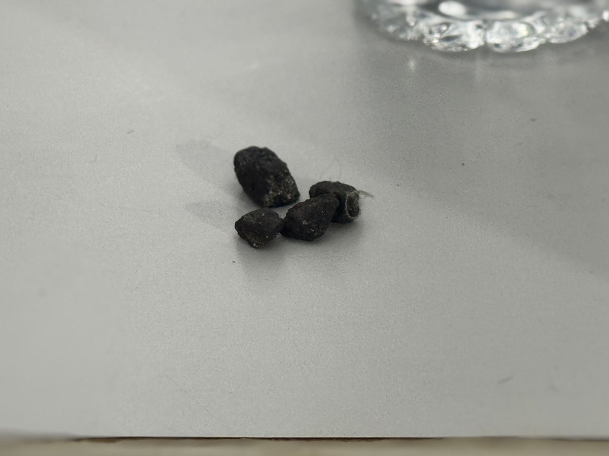 ⁶³ Nene ⁷² || 🦊 tweet media