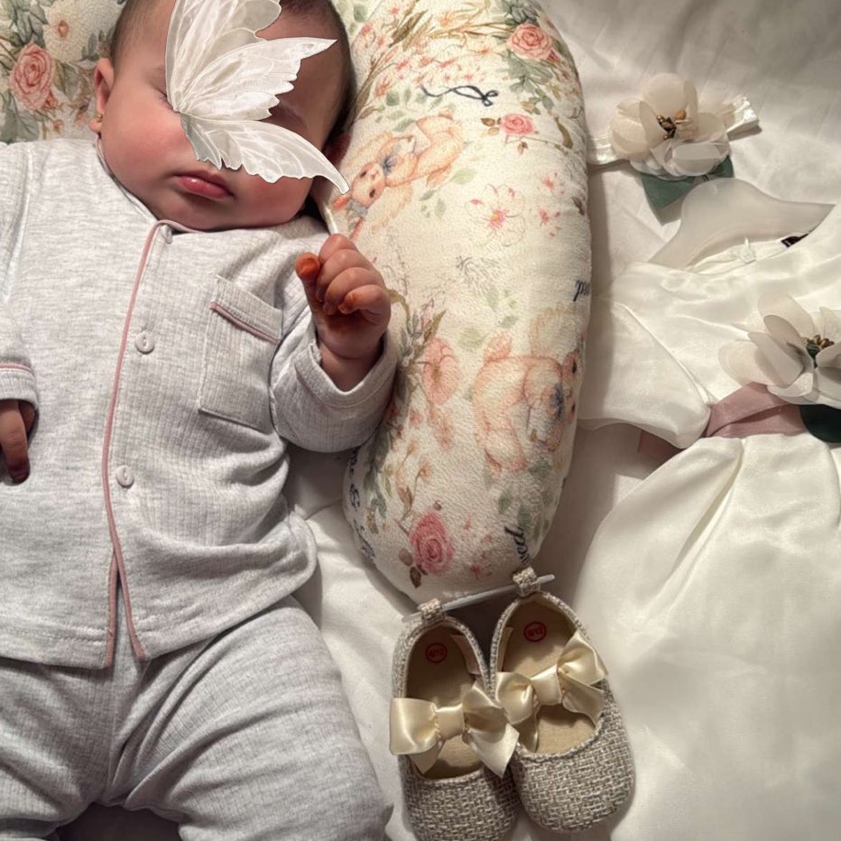 Reju 🫐 tweet media