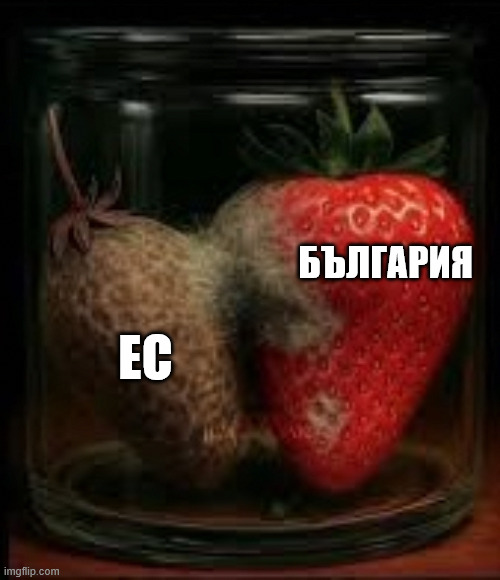 Ratnik Chan tweet media