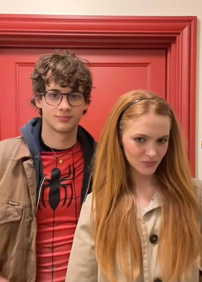 princess tweet media