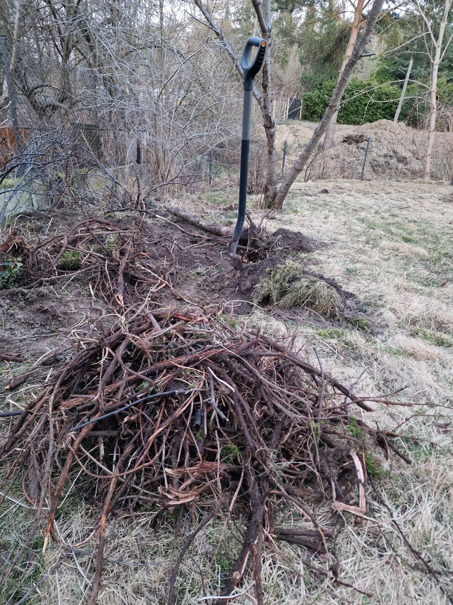 Marcin Możdżonek tweet media