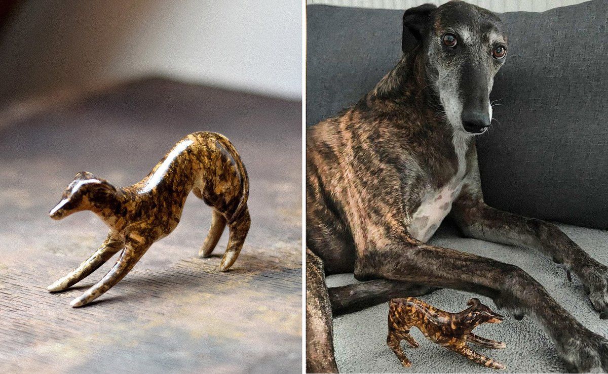 derek guy tweet media