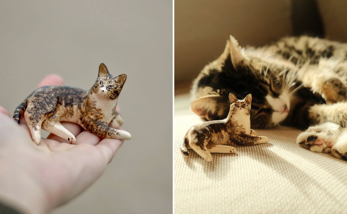 derek guy tweet media